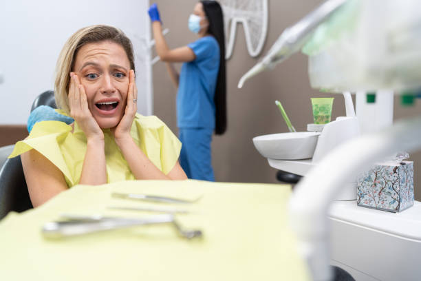 Best Broken or Chipped Tooth Repair in Oak Harbor, OH